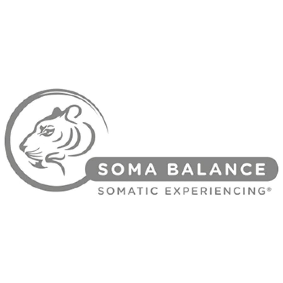 2025_04_Logo_Czechia_Soma_Balance
