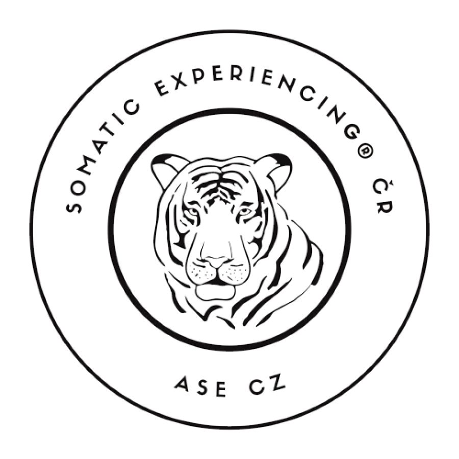 2025_05_Logo_Czechia